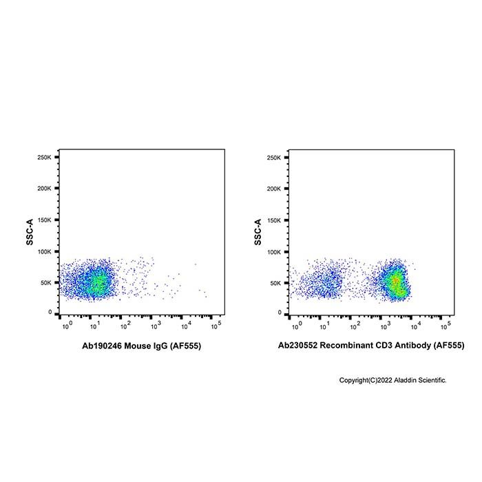 Recombinant CD3 Antibody (AF555)