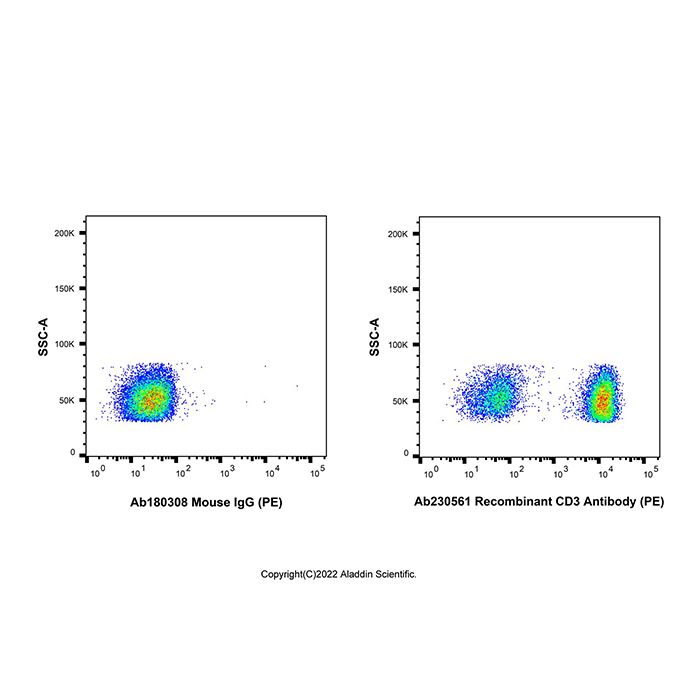 Recombinant CD3 Antibody (PE) 
