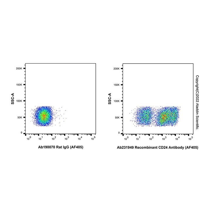 Recombinant CD24 Antibody (AF405)