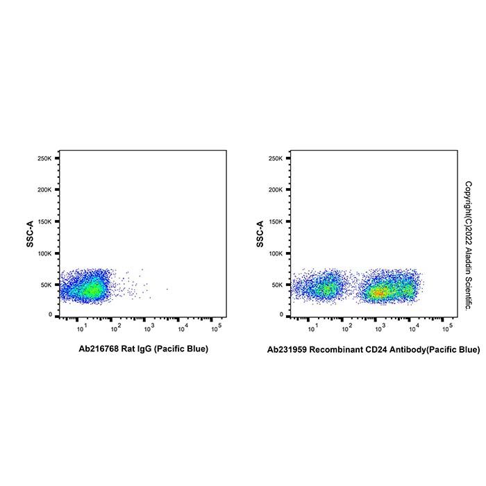 Recombinant CD24 Antibody (Pacific Blue)