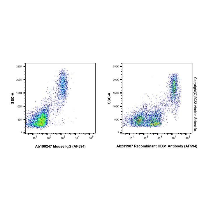 Recombinant CD31 Antibody (AF594)