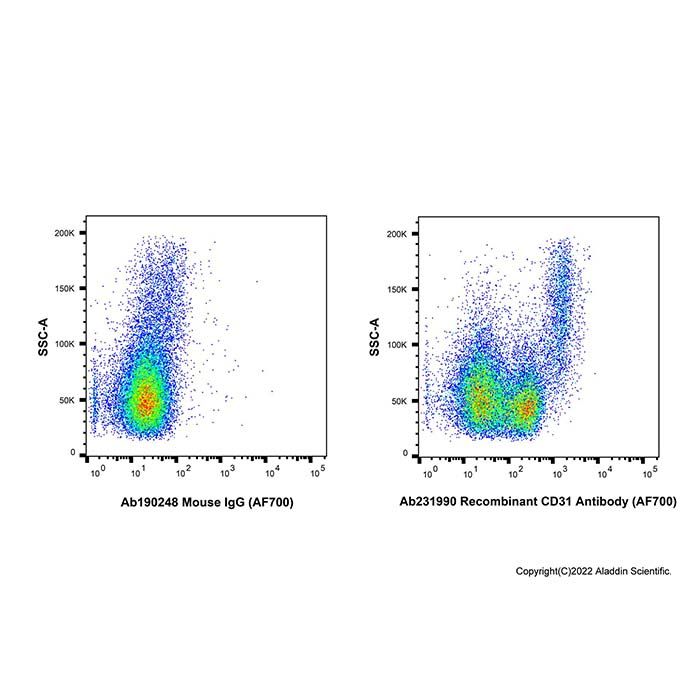 Recombinant CD31 Antibody (AF700)