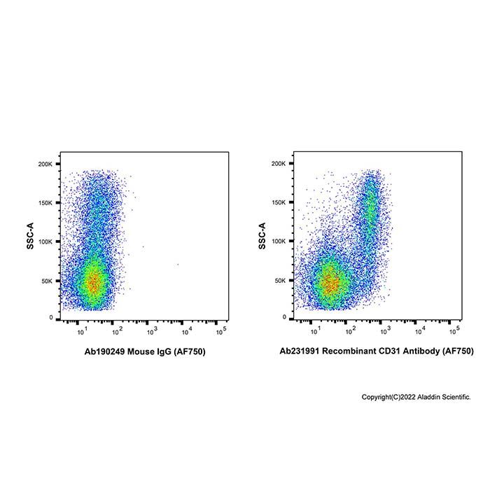 Recombinant CD31 Antibody (AF750)