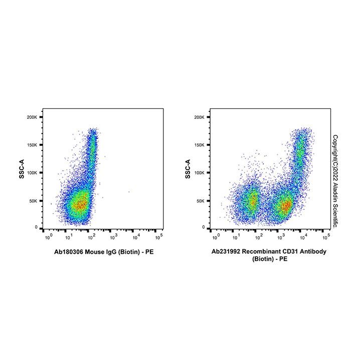 Recombinant CD31 Antibody (Biotin)