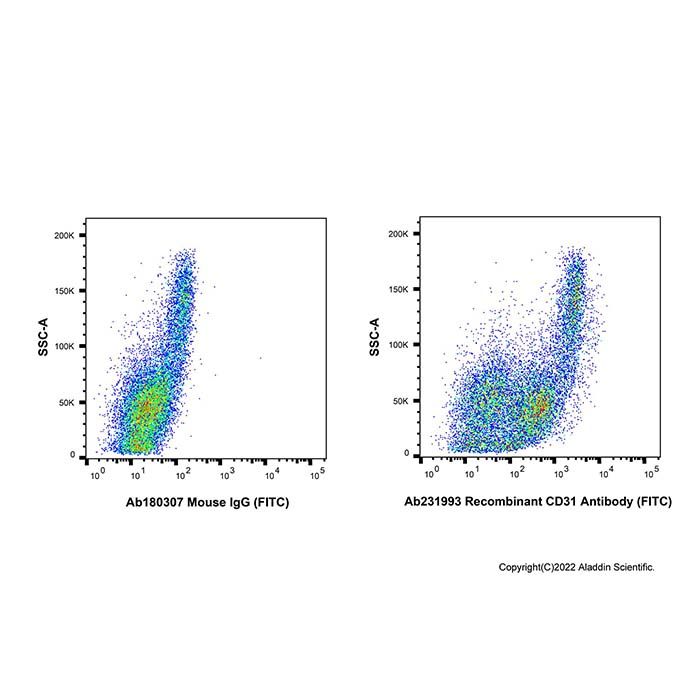 Recombinant CD31 Antibody (FITC)