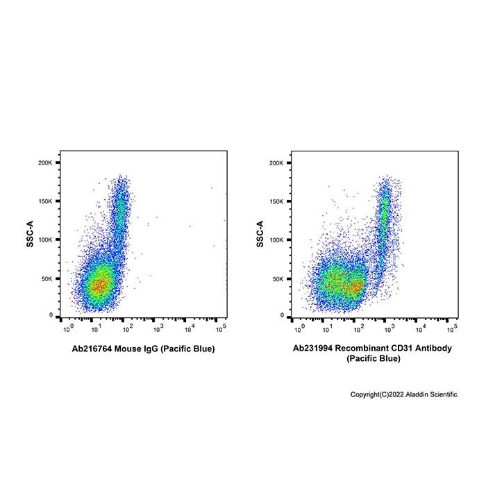Recombinant CD31 Antibody (Pacific Blue)