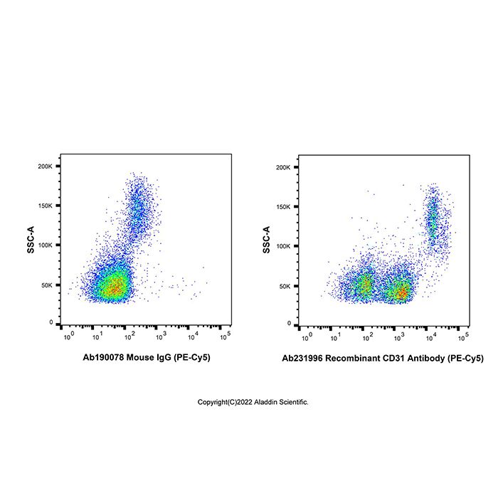 Recombinant CD31 Antibody (PE-Cy5) 