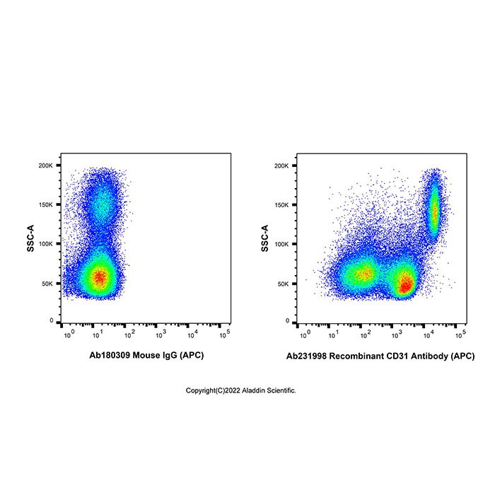 Recombinant CD31 Antibody (APC) 