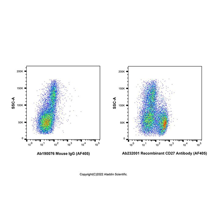 Recombinant CD27 Antibody (AF405)