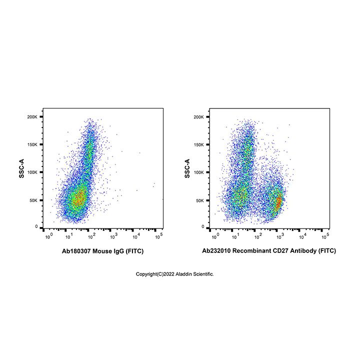 Recombinant CD27 Antibody (FITC)