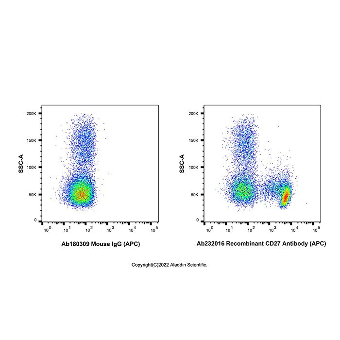 Recombinant CD27 Antibody (APC)