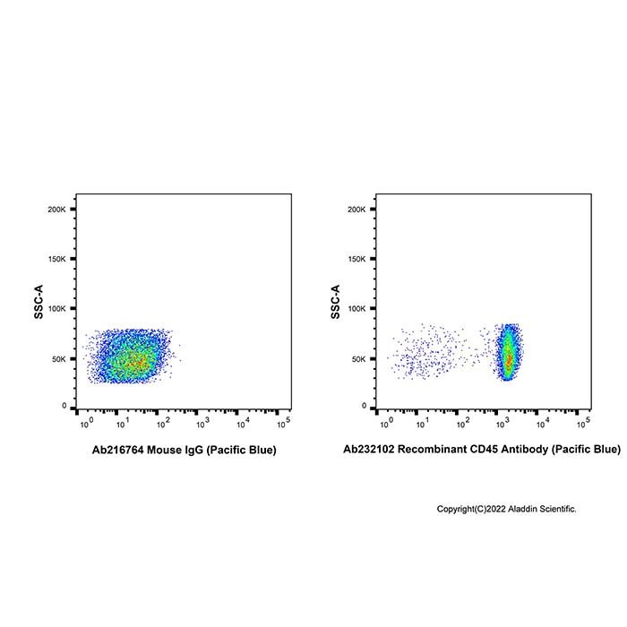 Recombinant CD45 Antibody (Pacific Blue)