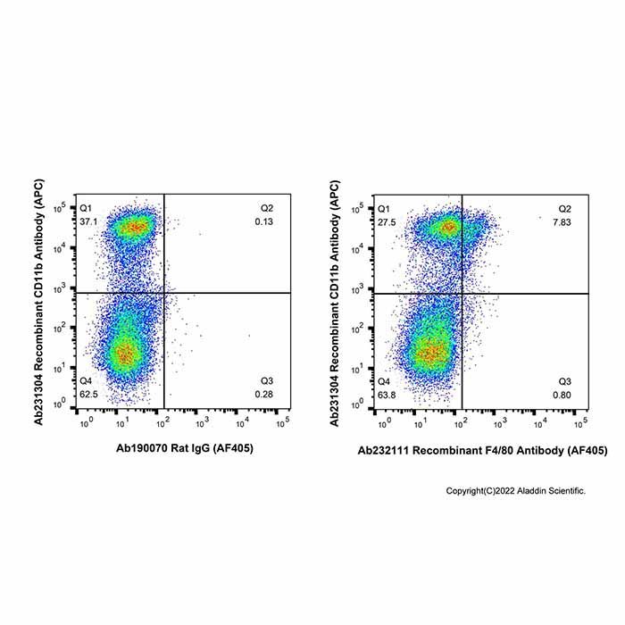 Recombinant F4/80 Antibody (AF405)