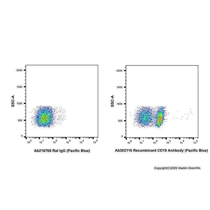 Recombinant CD19 Antibody (Pacific Blue)