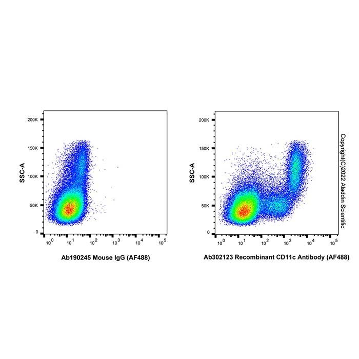 Recombinant CD11c Antibody (AF488)