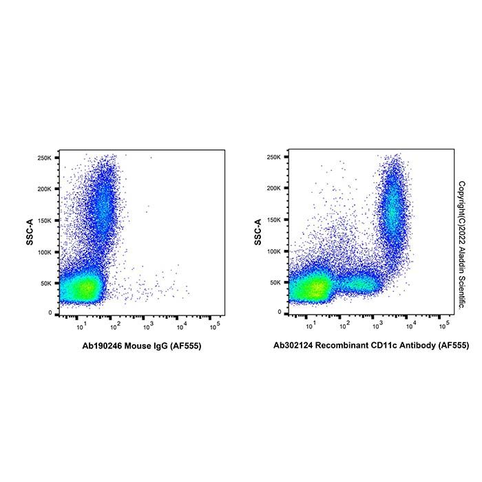 Recombinant CD11c Antibody (AF555)