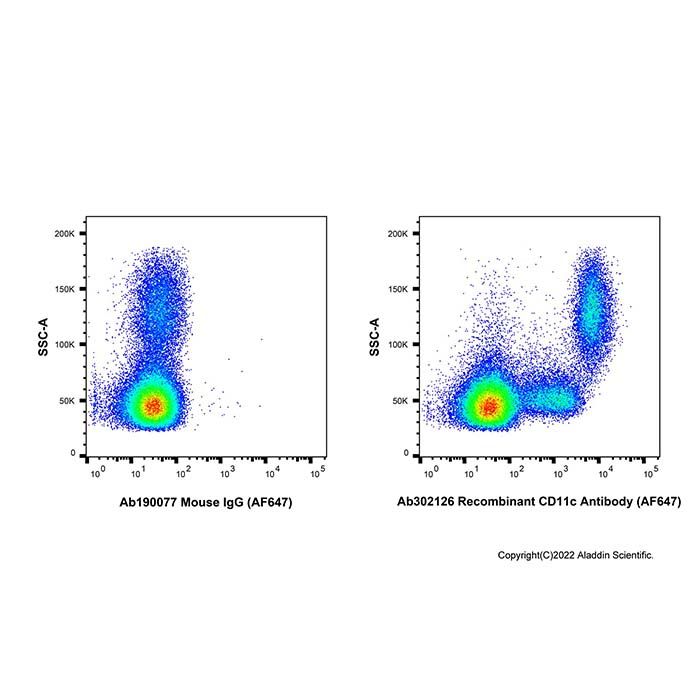 Recombinant CD11c Antibody (AF647)