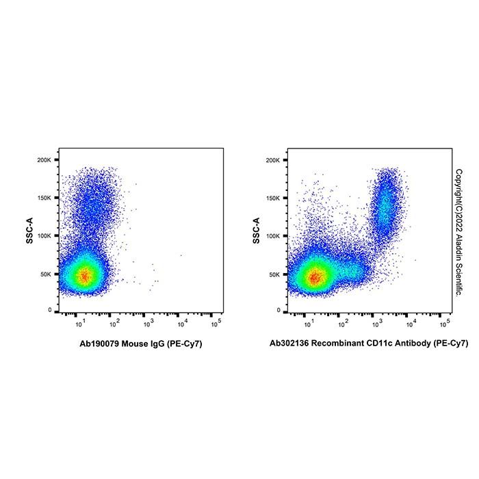 Recombinant CD11c Antibody (PE-Cy7)