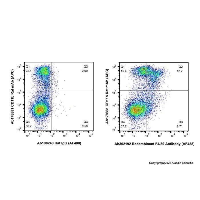 Recombinant F4/80 Antibody (AF488)