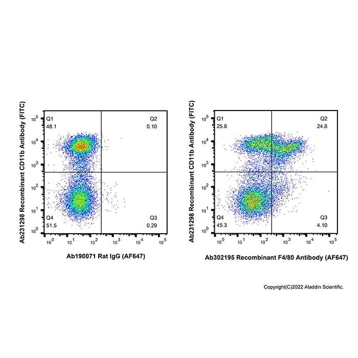 Recombinant F4/80 Antibody (AF647)