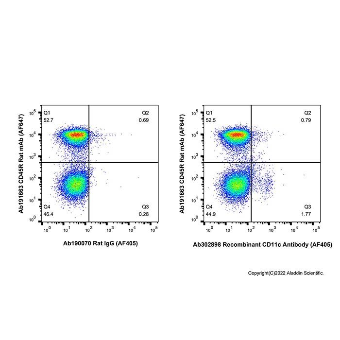 Recombinant CD11c Antibody (AF405)