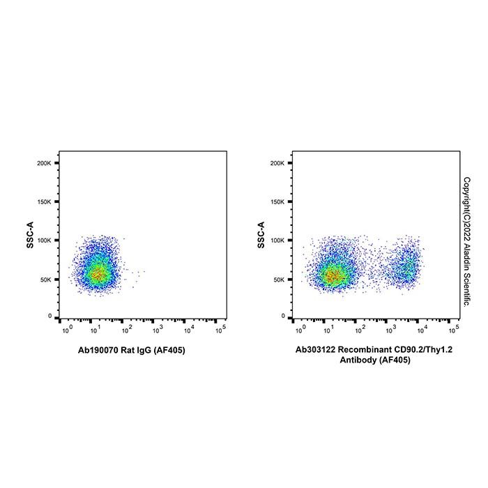 Recombinant CD90.2/Thy1.2 Antibody (AF405)