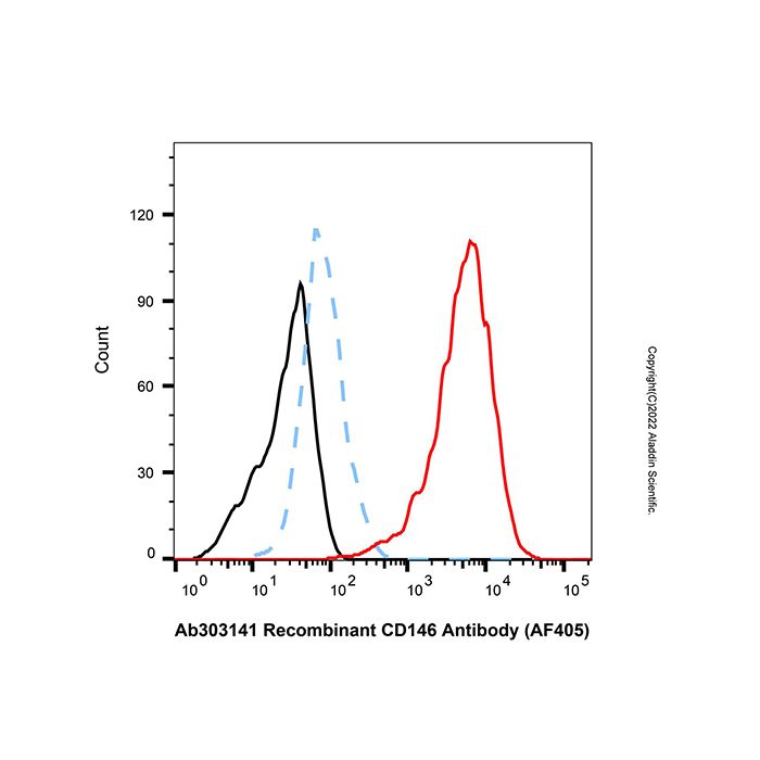 Recombinant CD146 Antibody (AF405)