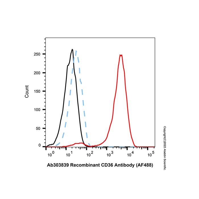 Recombinant CD36 Antibody (AF488)