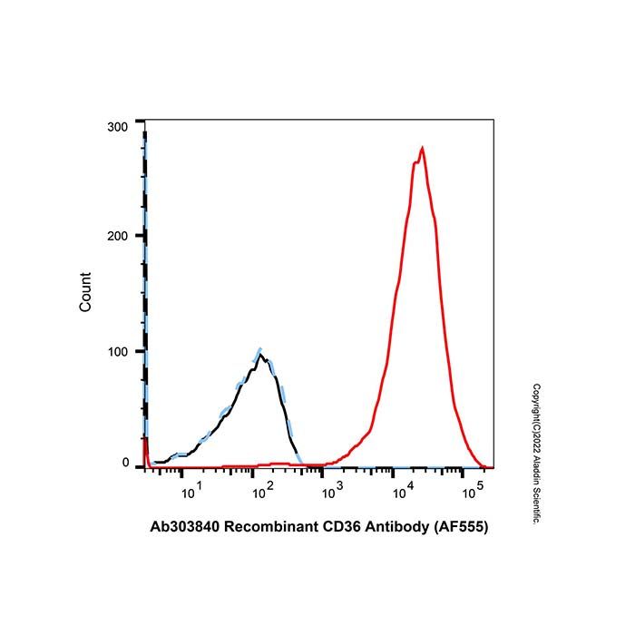 Recombinant CD36 Antibody (AF555)