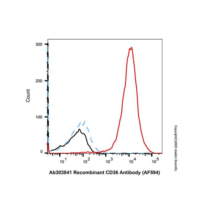 Recombinant CD36 Antibody (AF594)