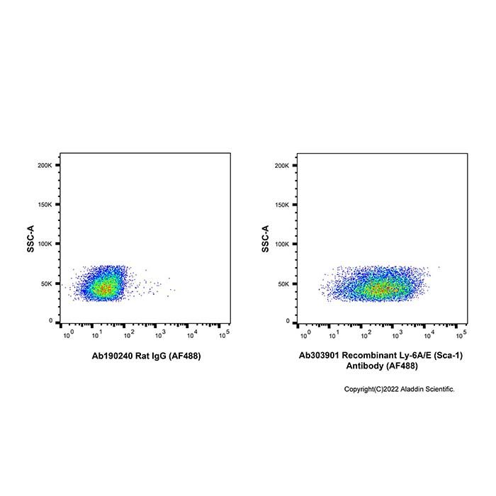 Recombinant Ly-6A/E(Sca-1) Antibody (AF488) 