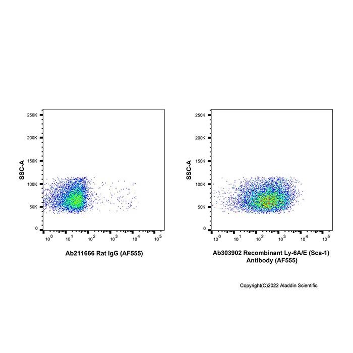 Recombinant Ly-6A/E(Sca-1) Antibody (AF555)