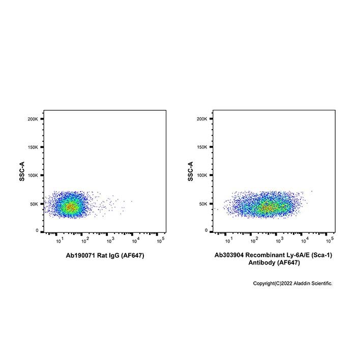 Recombinant Ly-6A/E(Sca-1) Antibody (AF647) 
