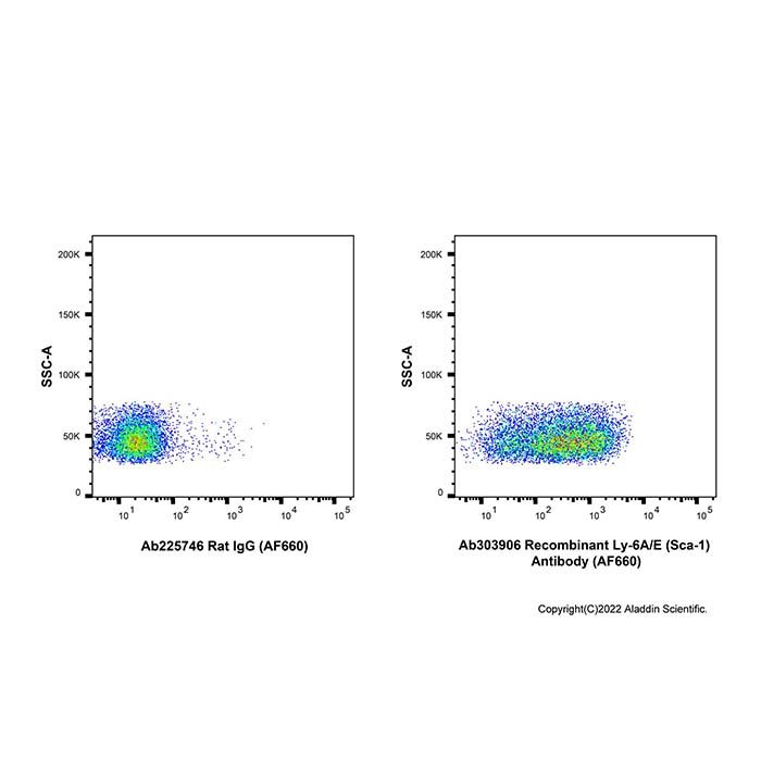 Recombinant Ly-6A/E(Sca-1) Antibody (AF660) 