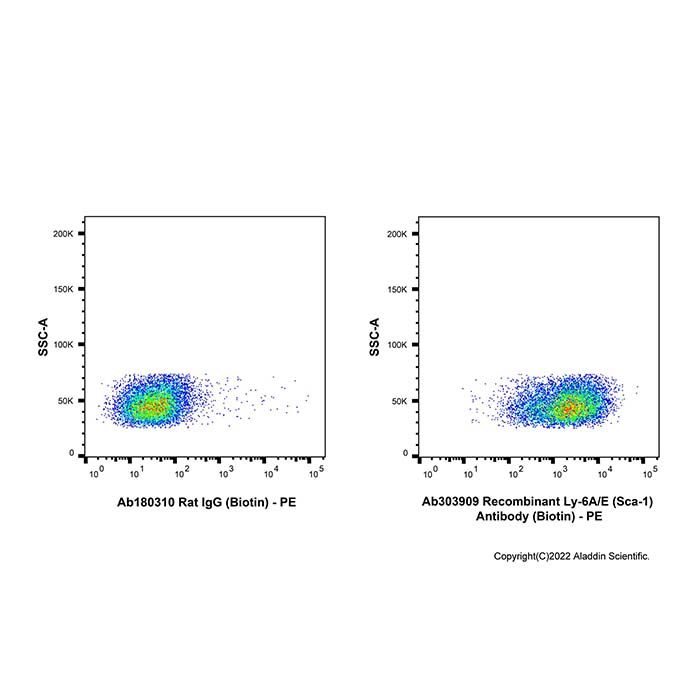 Recombinant Ly-6A/E(Sca-1) Antibody (Biotin) 