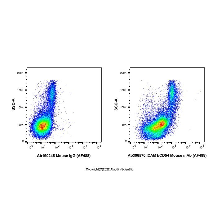 ICAM1/CD54 Mouse mAb (AF488)