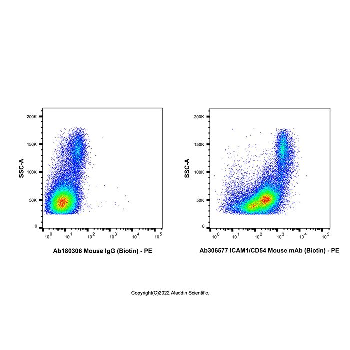 ICAM1/CD54 Mouse mAb (Biotin)