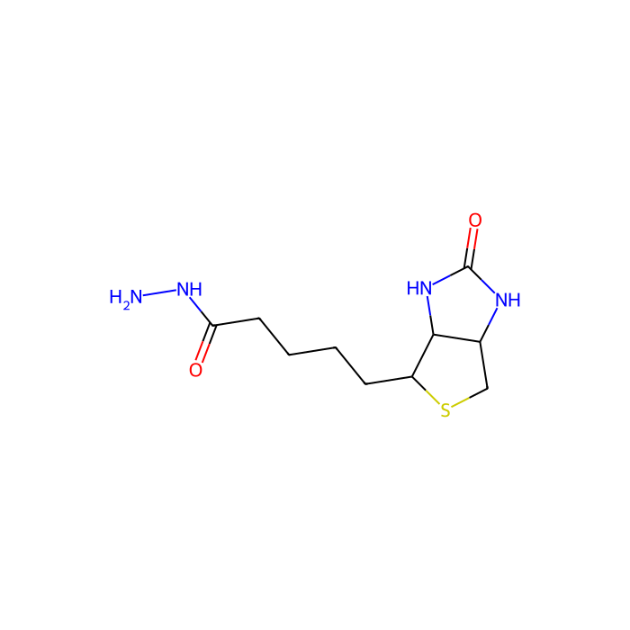生物素酰肼