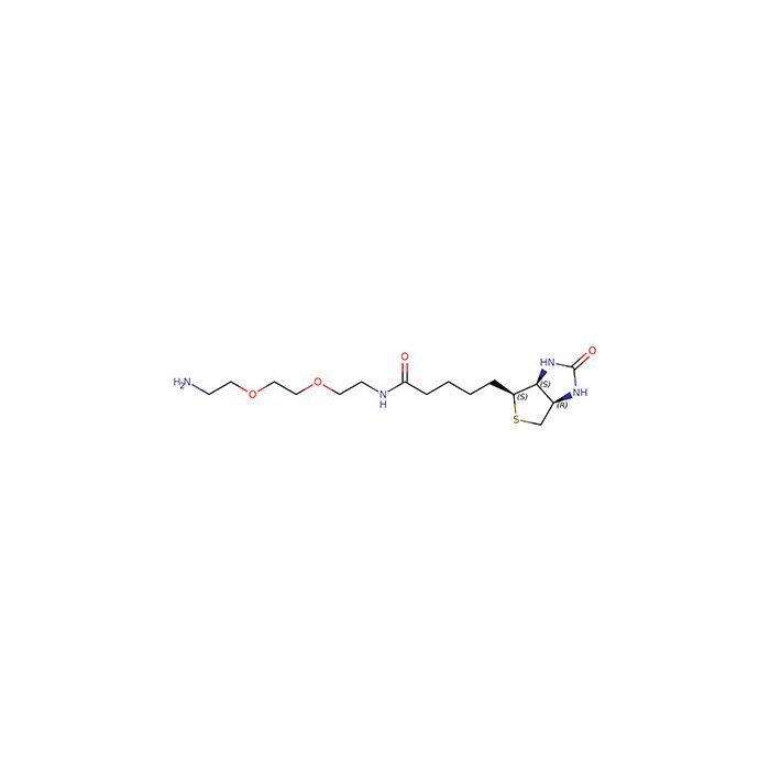 生物素-PEG2-胺