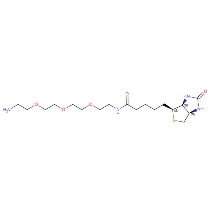 生物素-PEG₃-胺