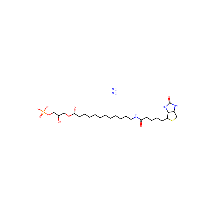 1-[12-生物素(氨基十二烷酰基)]-2-羟基-sn-甘油-3-磷酸酯(铵盐)