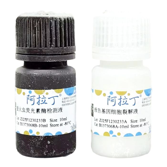 Bio-UltraBio™高亮版萤火虫萤光素酶分步检测试剂盒（即用型）