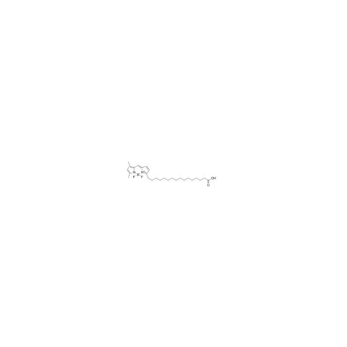 BODIPY FL-C16