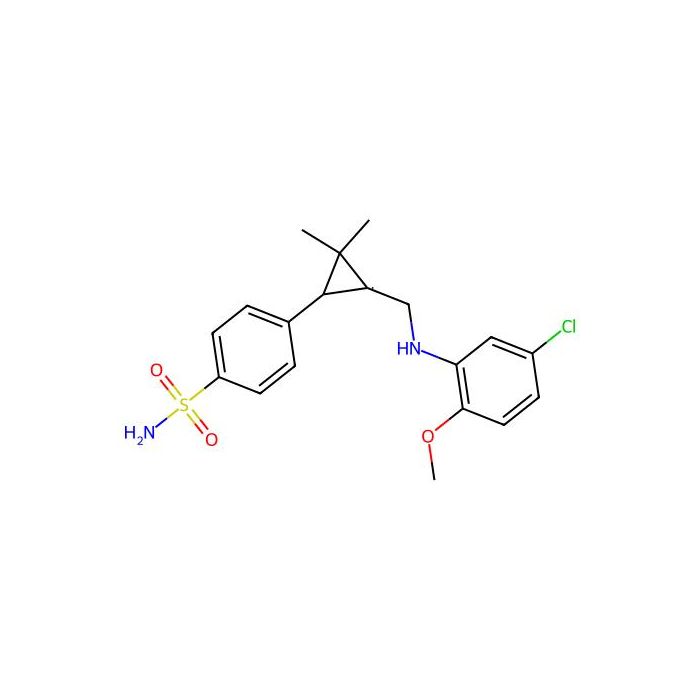 BNC375