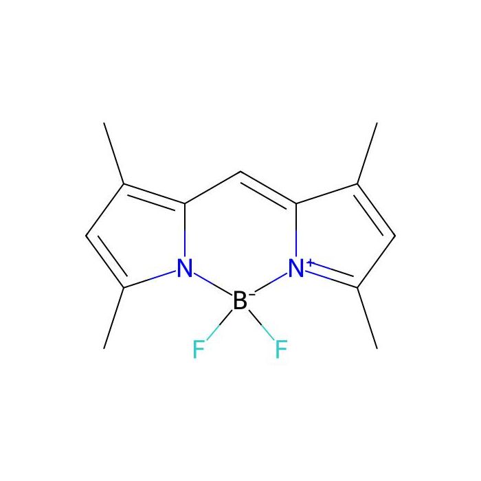 BODIPY 505/515