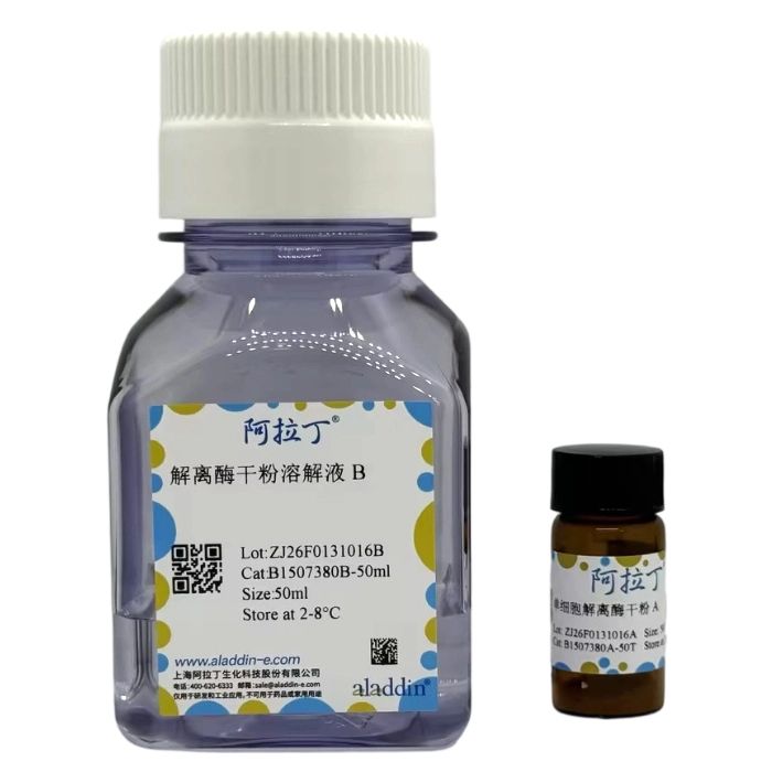 脑组织单细胞解离酶