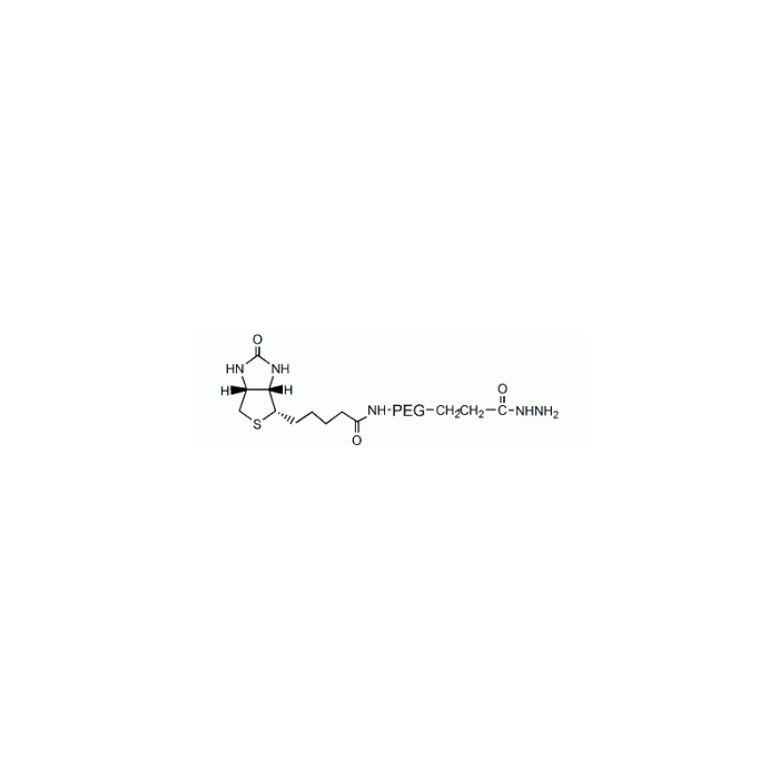 生物素 PEG 酰肼