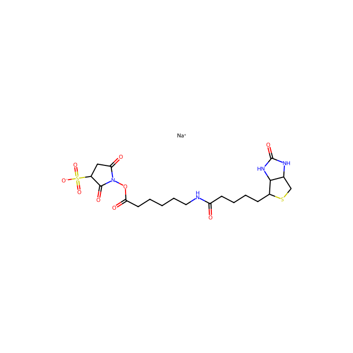 6-(生物素酰胺)己酸磺酸基琥珀酰亚胺酯钠盐