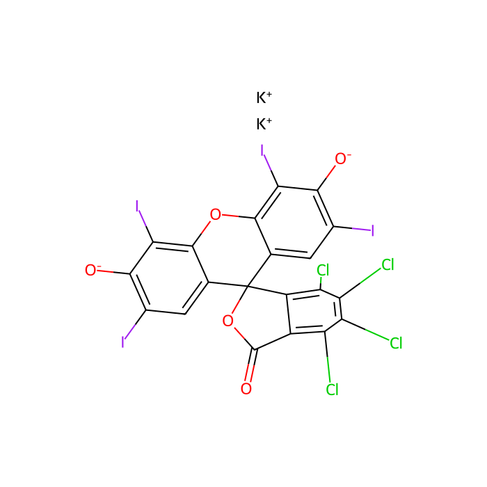 孟加拉玫瑰红B