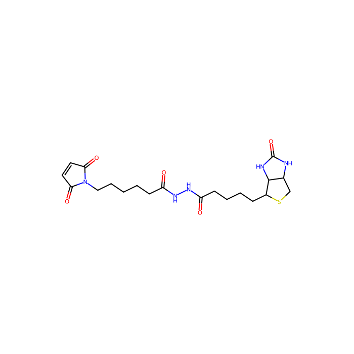 生物素-马来酰亚胺
